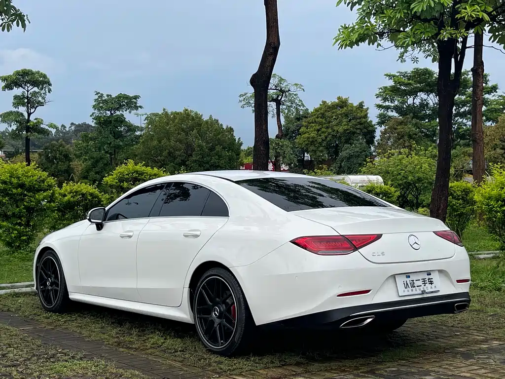 Mercedes-Benz CLS 2018 — фото 18