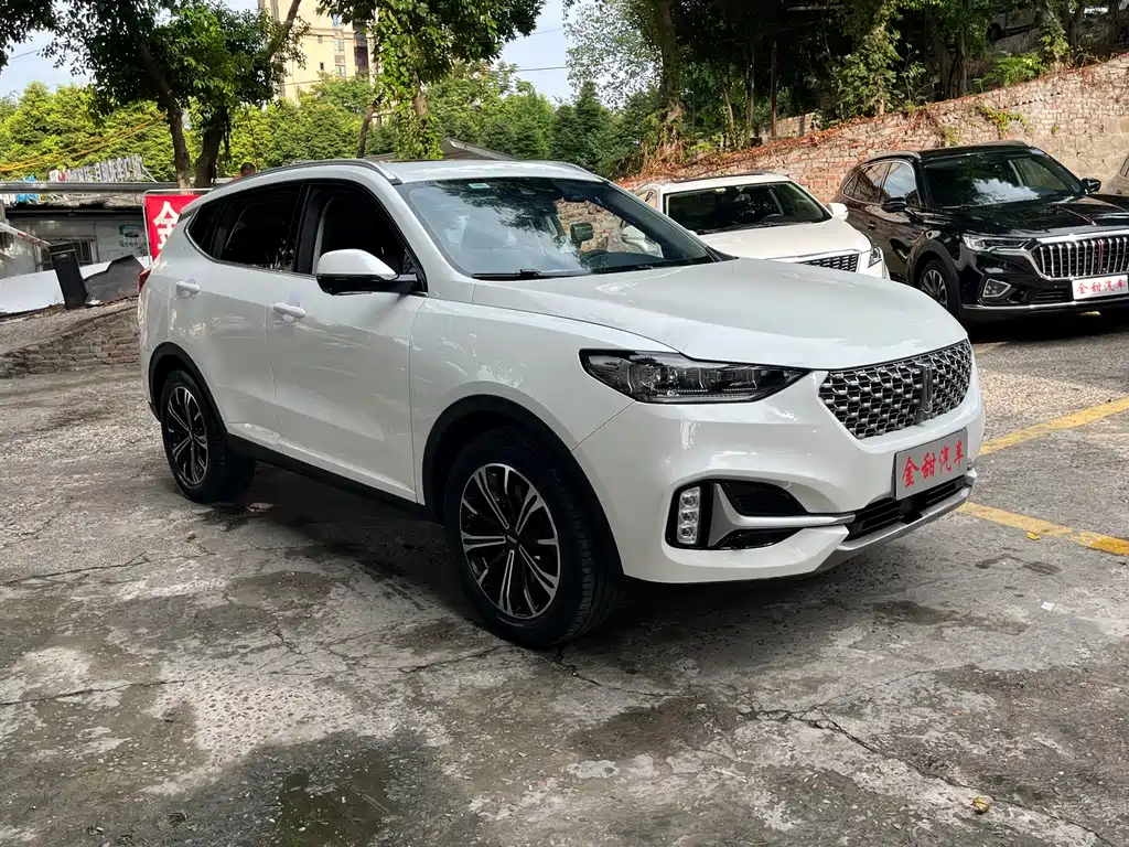 Wey VV6 2021 — фото 7