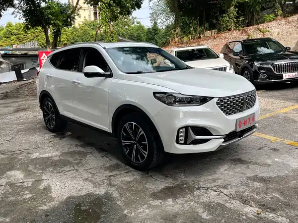 Wey VV6 2021