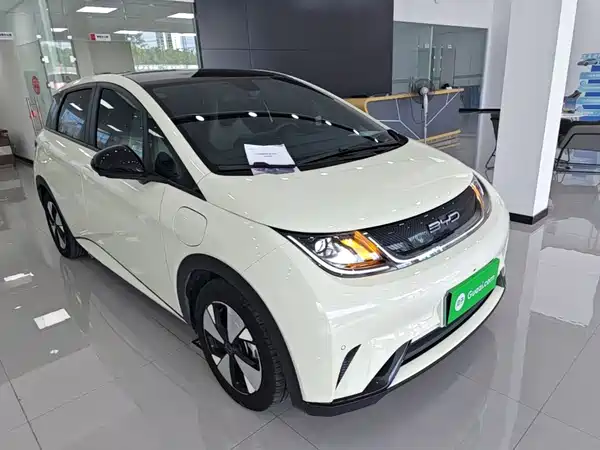 BYD Dolphin 2024