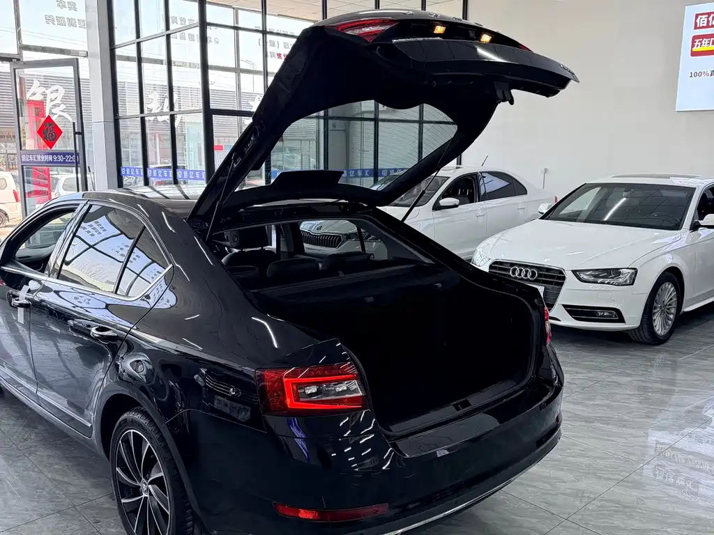 Skoda Octavia 2019 — фото 12