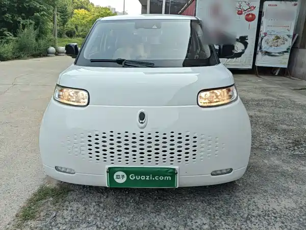 Ora White Cat 2021