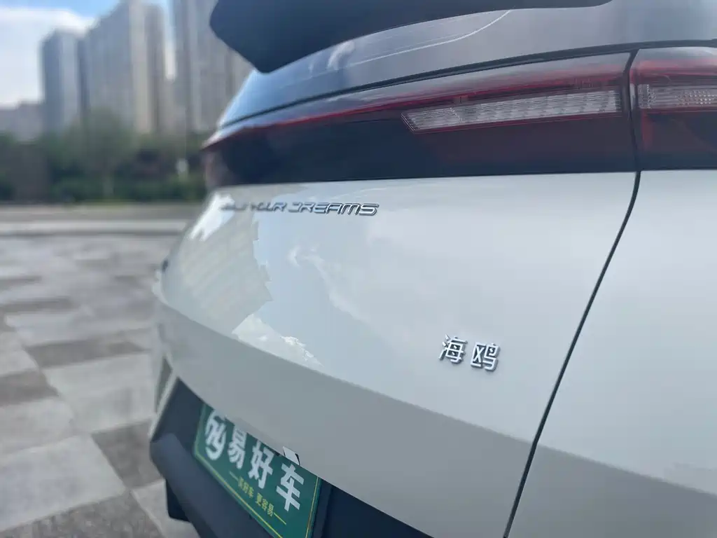 BYD Seagull 2024 — фото 16