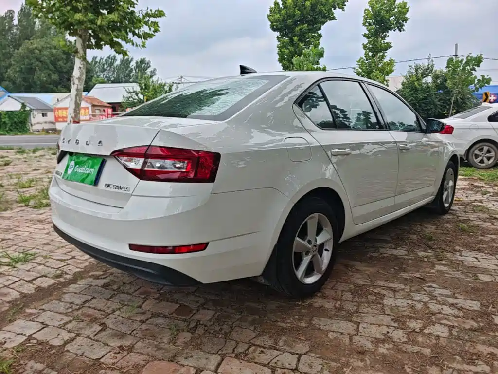 Skoda Octavia 2019 — фото 7