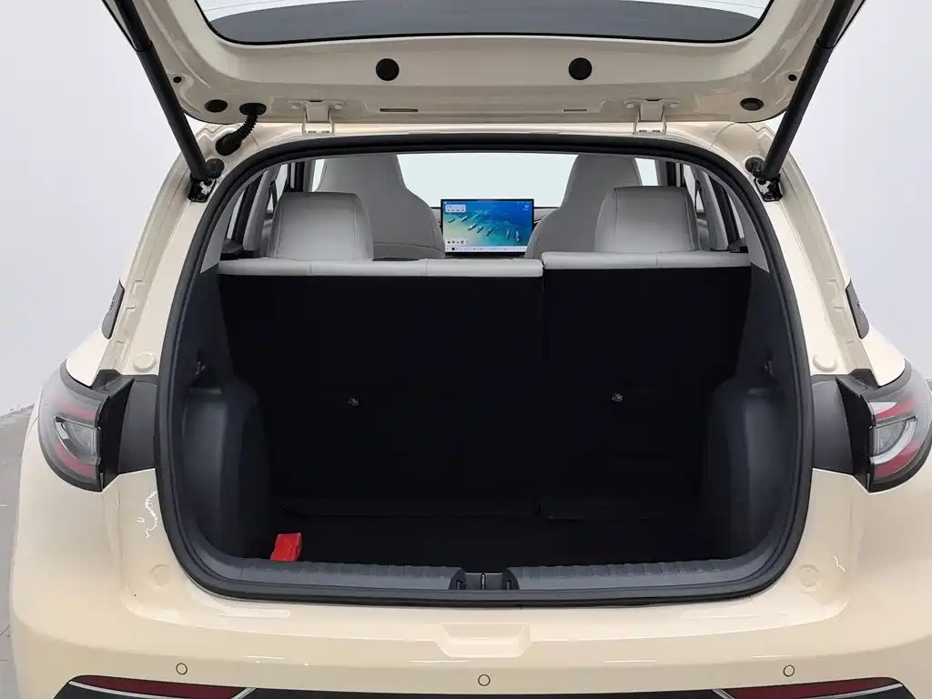 Geely Galaxy Starwish 2024 — фото 16