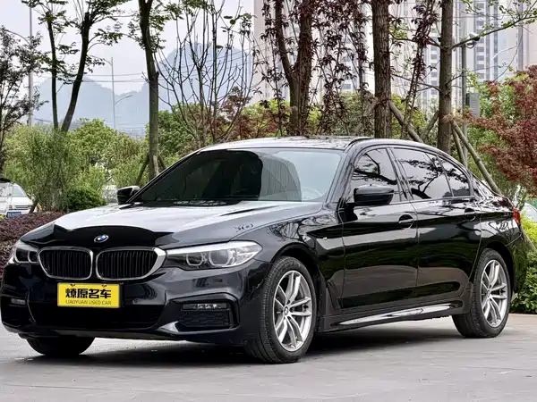 BMW 5 Series 2019
