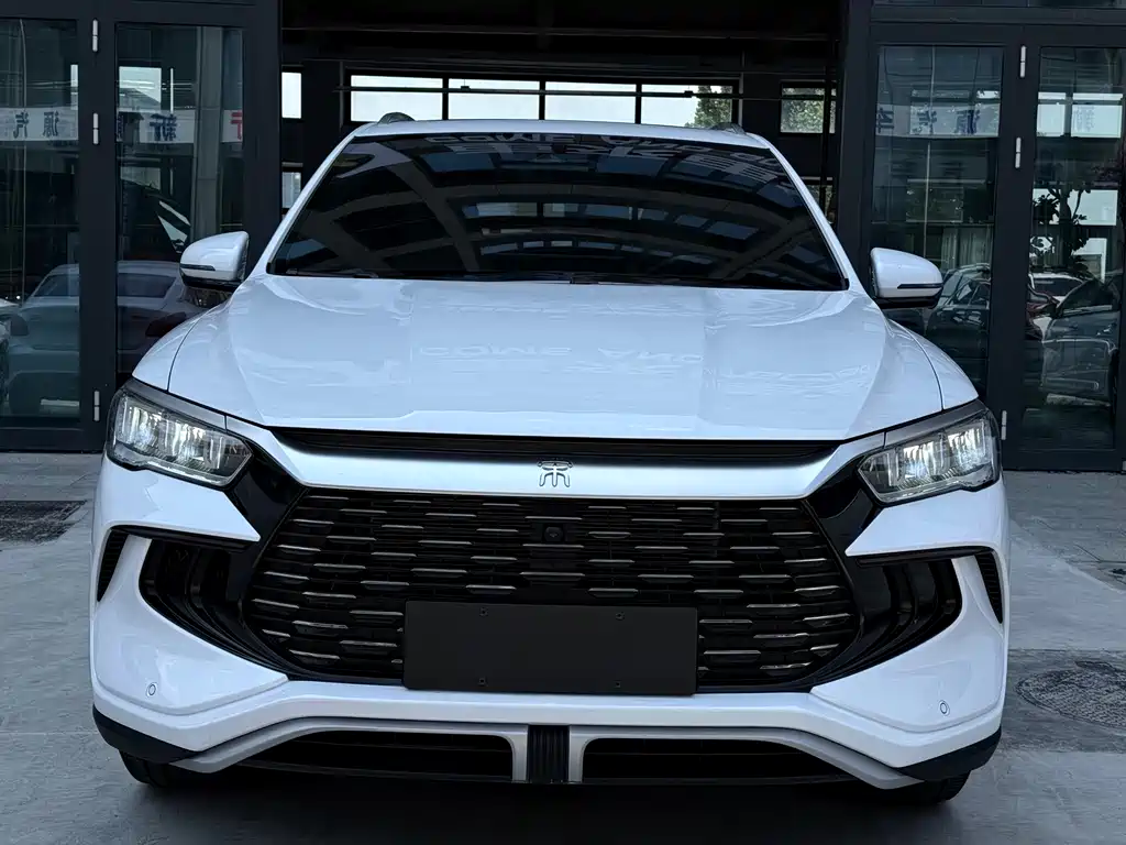 BYD Pro New Energy 2024 — фото 1