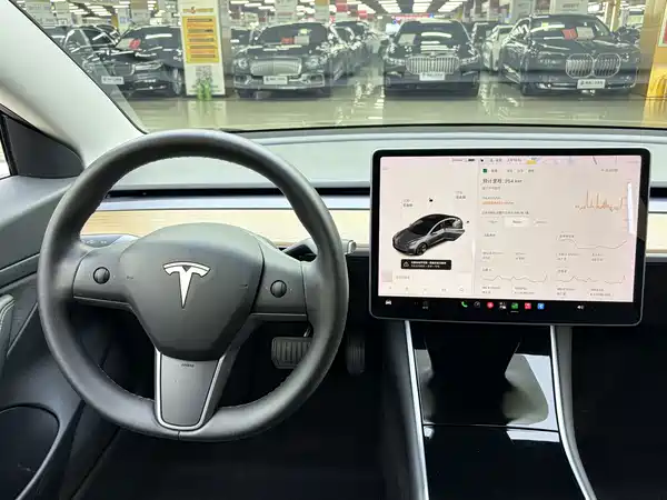 Tesla Model 3 2020