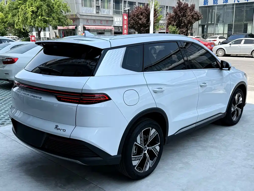 BYD Pro New Energy 2024 — фото 4