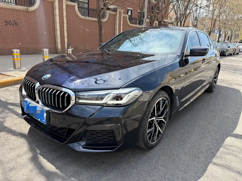 BMW 5 Series 2020 — фото 1