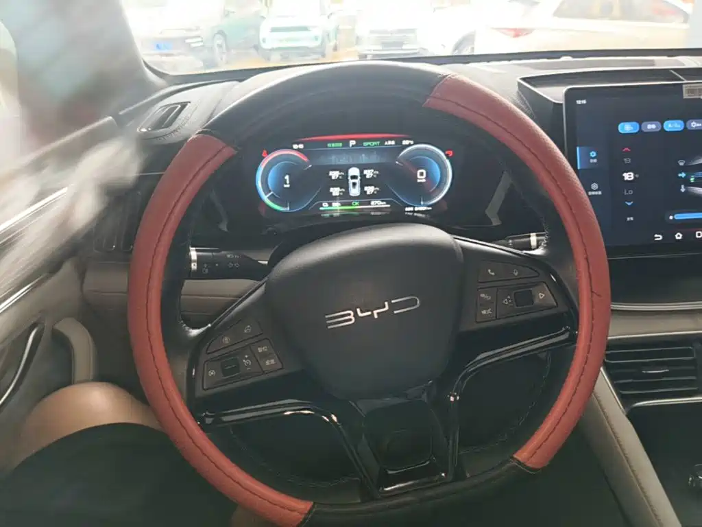 BYD Song PLUS New Energy 2024 — фото 11