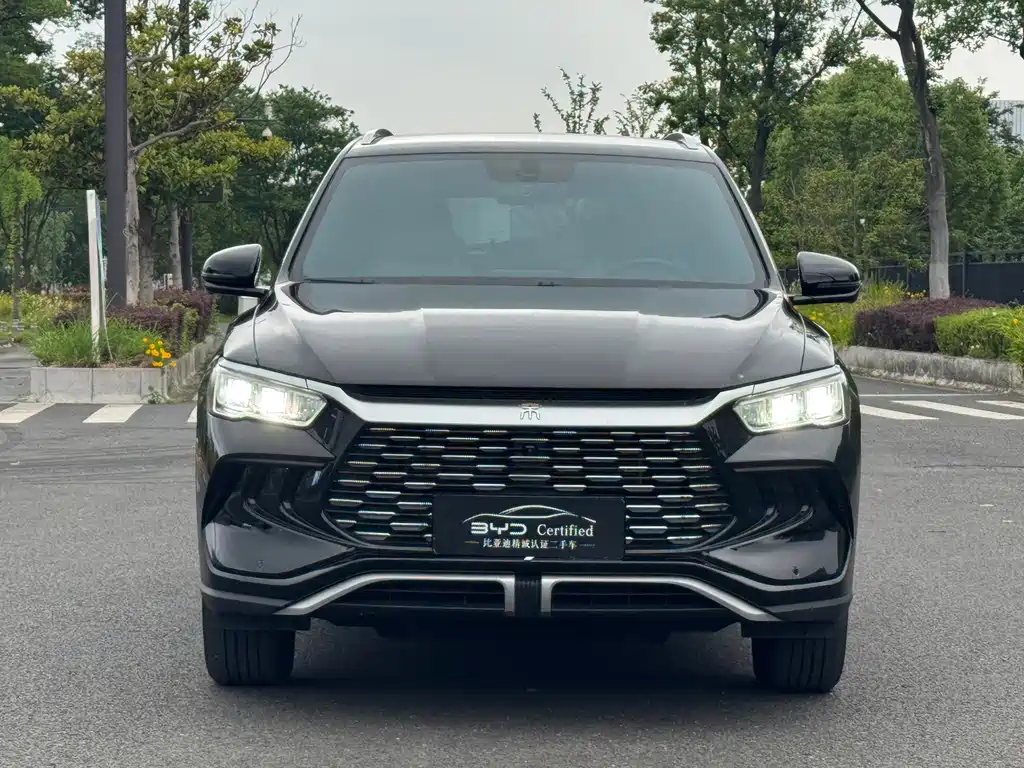 BYD Pro New Energy 2024 — фото 2