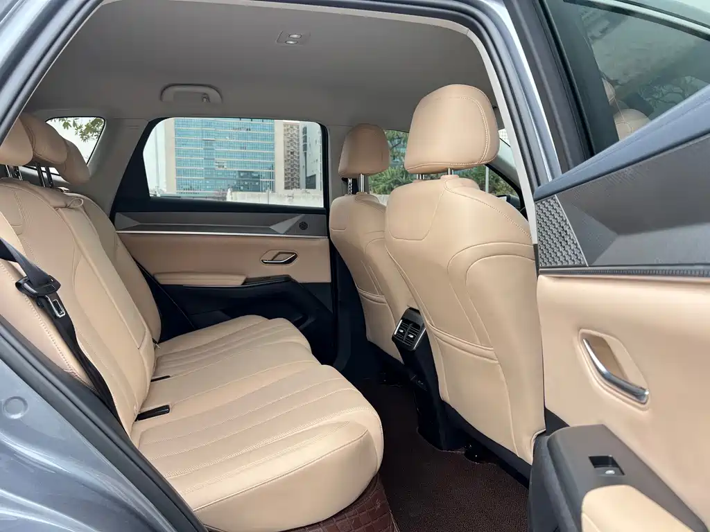 BYD Song Pro New Energy 2024 — фото 18