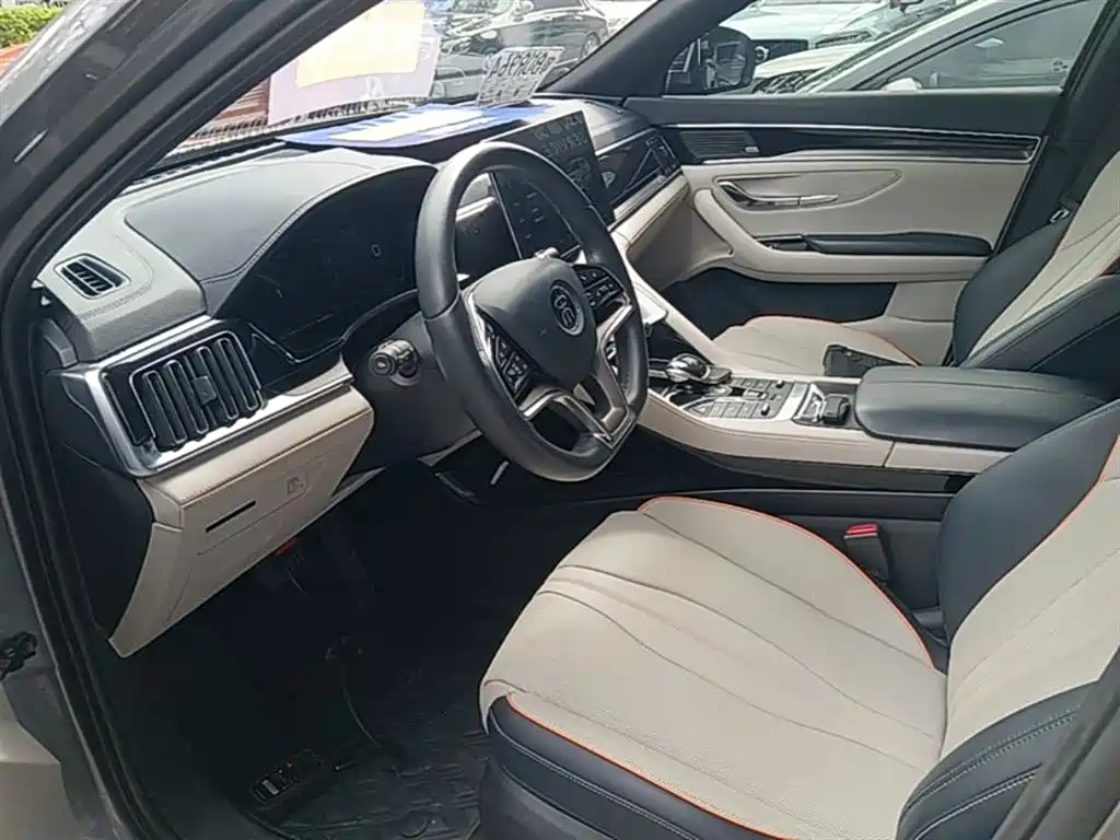 BYD PLUS New Energy 2022 — фото 15