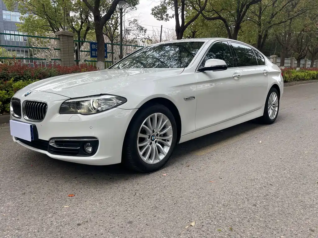 BMW 5 Series 2014 — фото 1