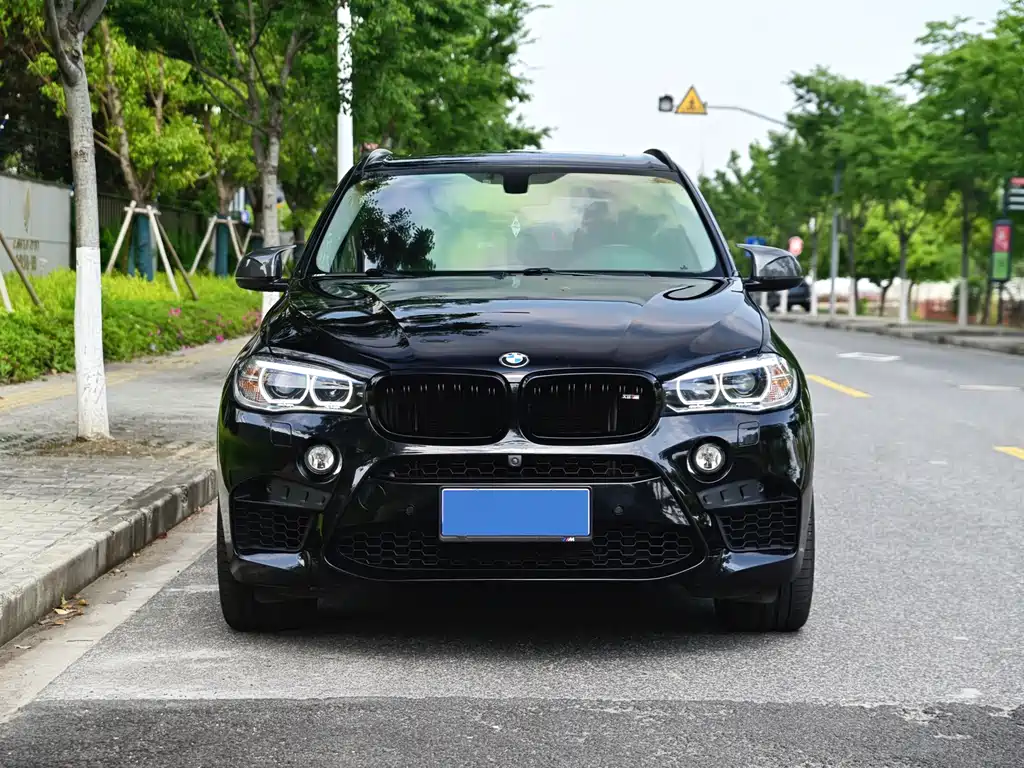 BMW X5 2016 — фото 1