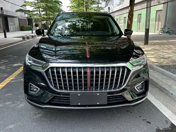 Hongqi HS5 2020