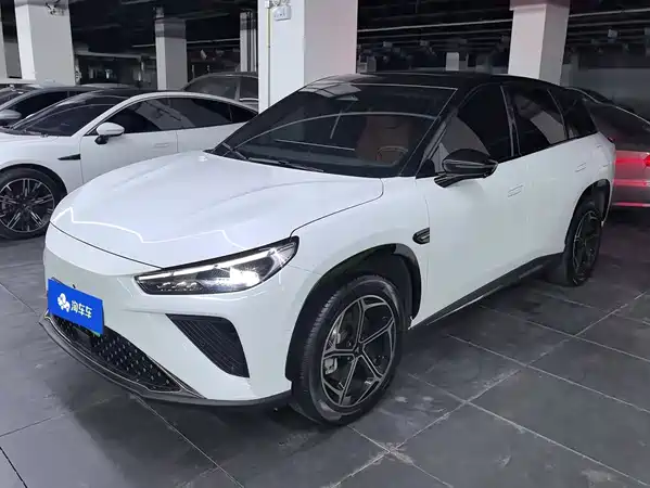 Neta L 2024