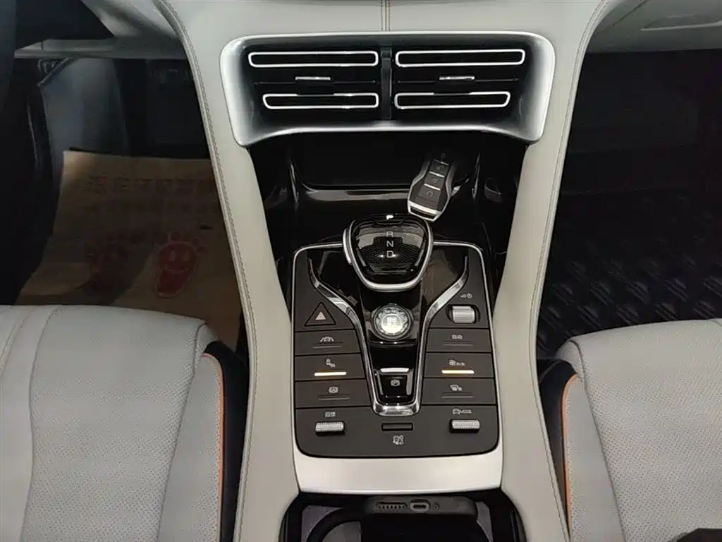 BYD PLUS New Energy 2023 — фото 14