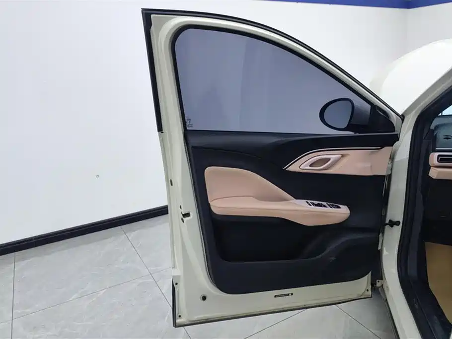 BYD Seagull 2024