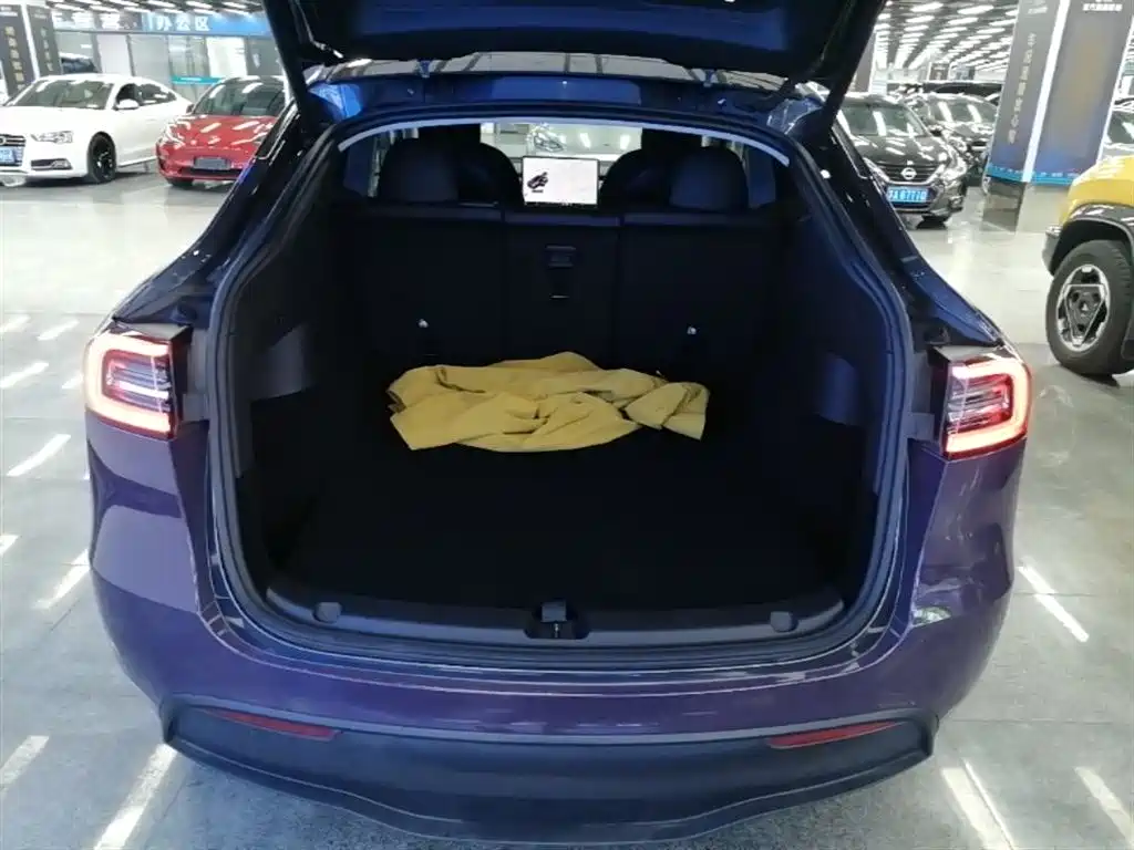Tesla Model Y 2021 — фото 19