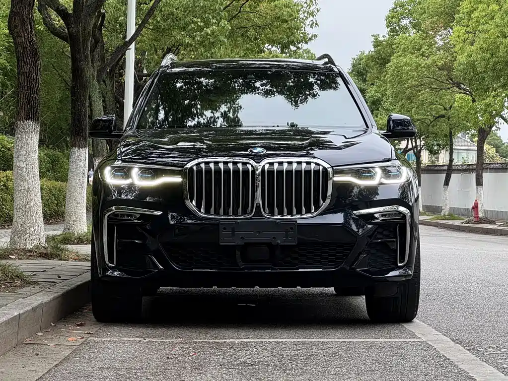 BMW X7 2022 — фото 2