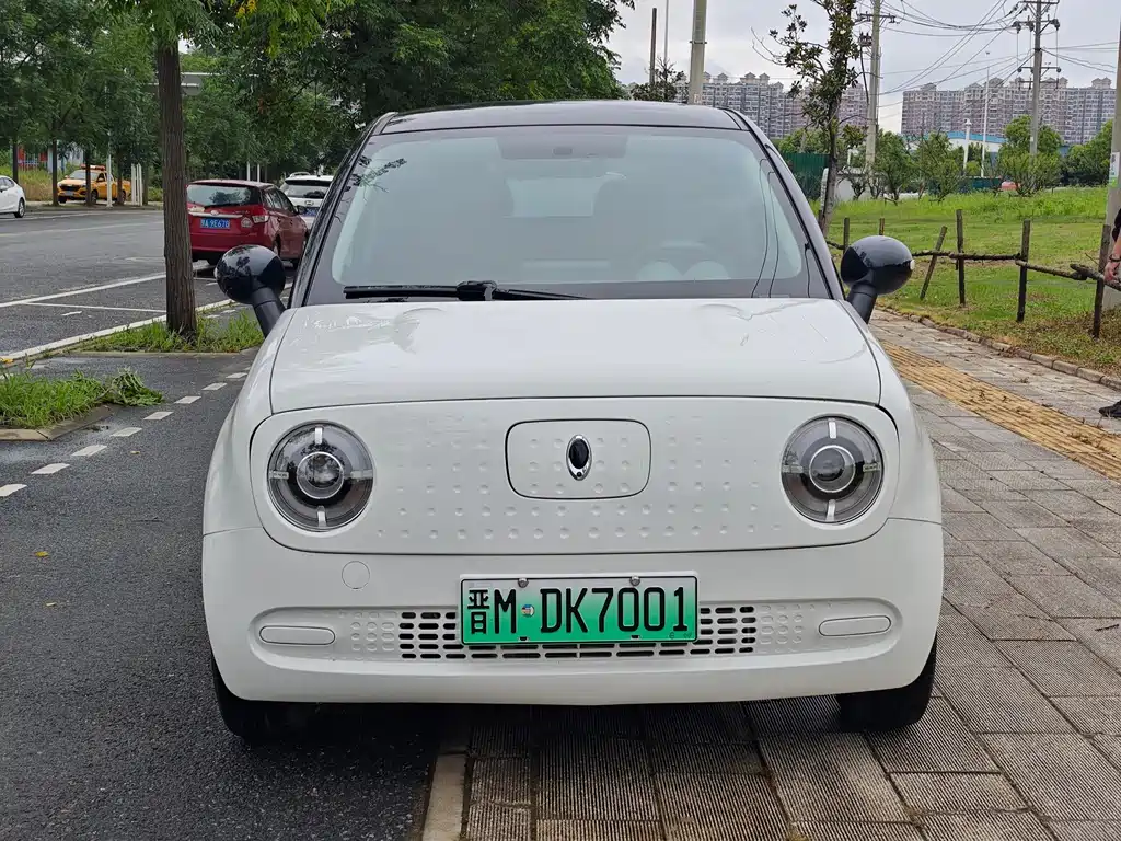 Ora Black Cat 2020