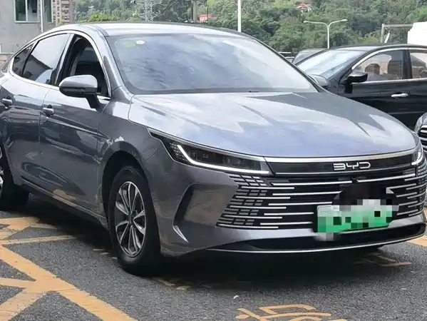 BYD Destroyer 05 2024