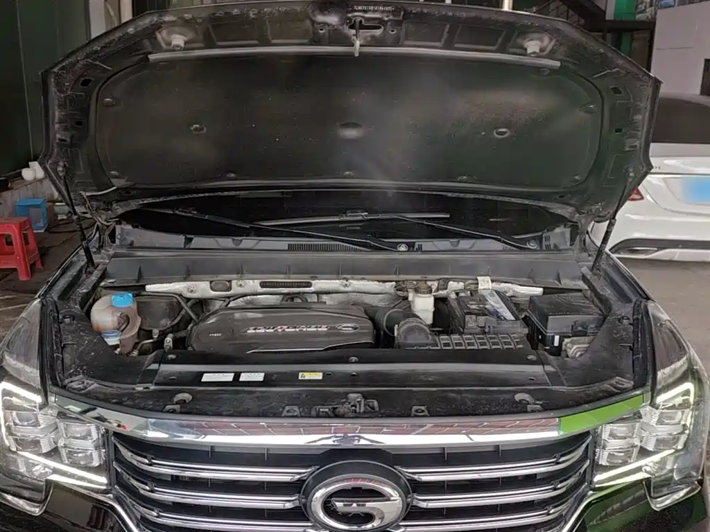 GAC Motor Trumpchi GS8 2017 — фото 19