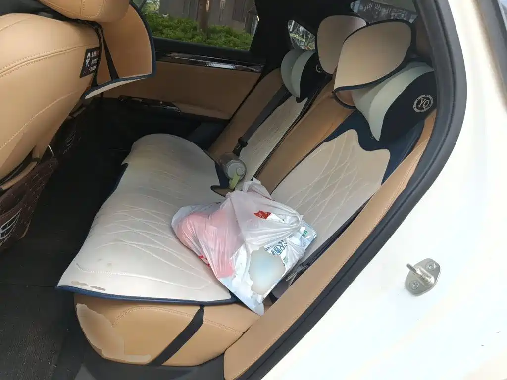 Geely Galaxy L6 2023 — фото 18