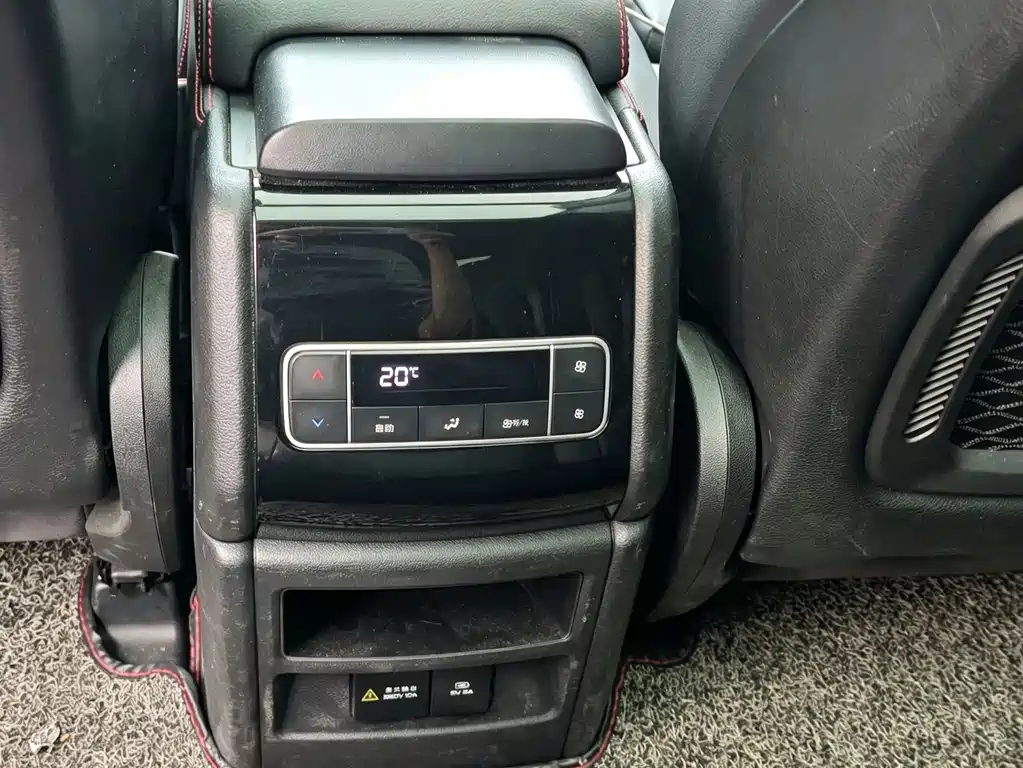 BYD Tang New Energy 2019 — фото 14