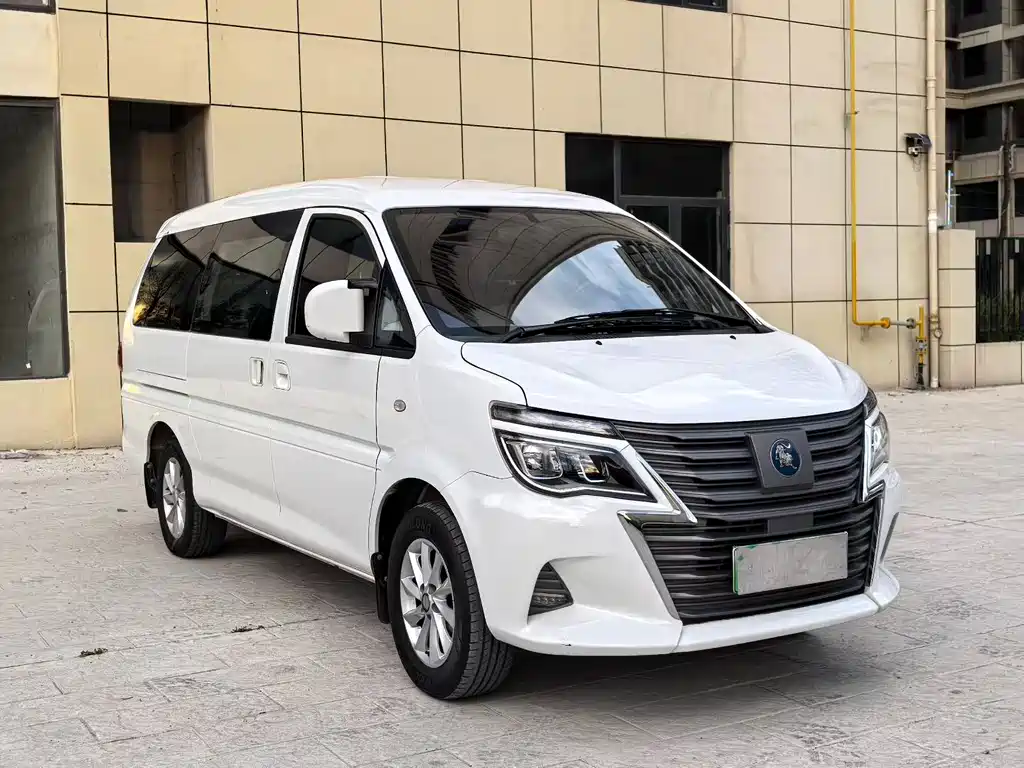 Fengxing Lingzhi New Energy 2022