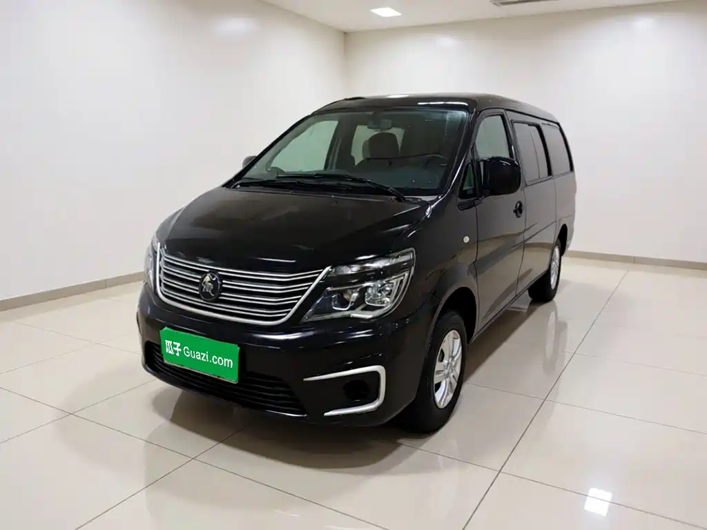 Fengxing Lingzhi 2022