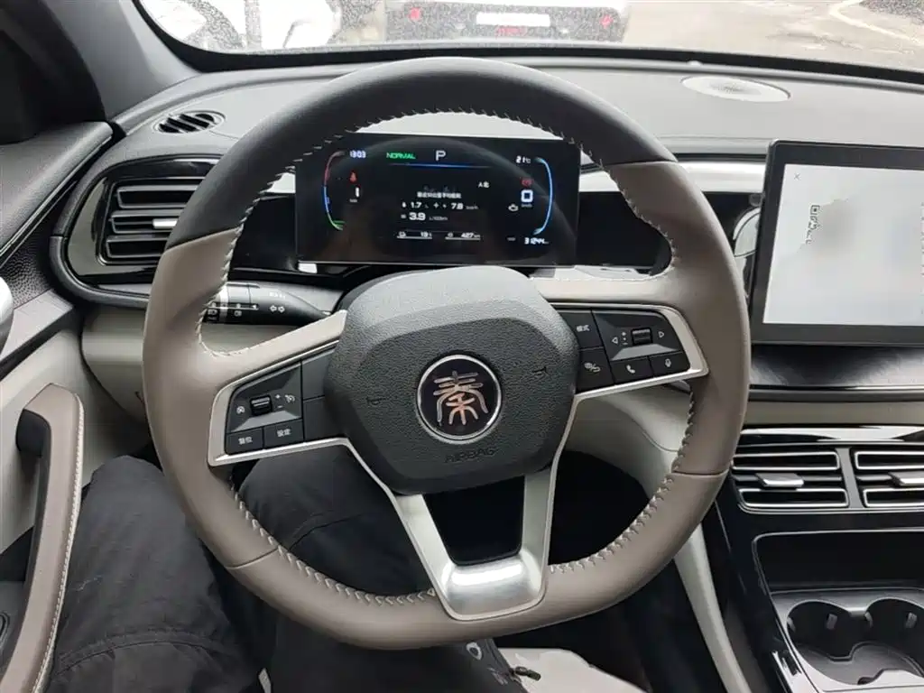 BYD Qin PLUS 2024 — фото 11