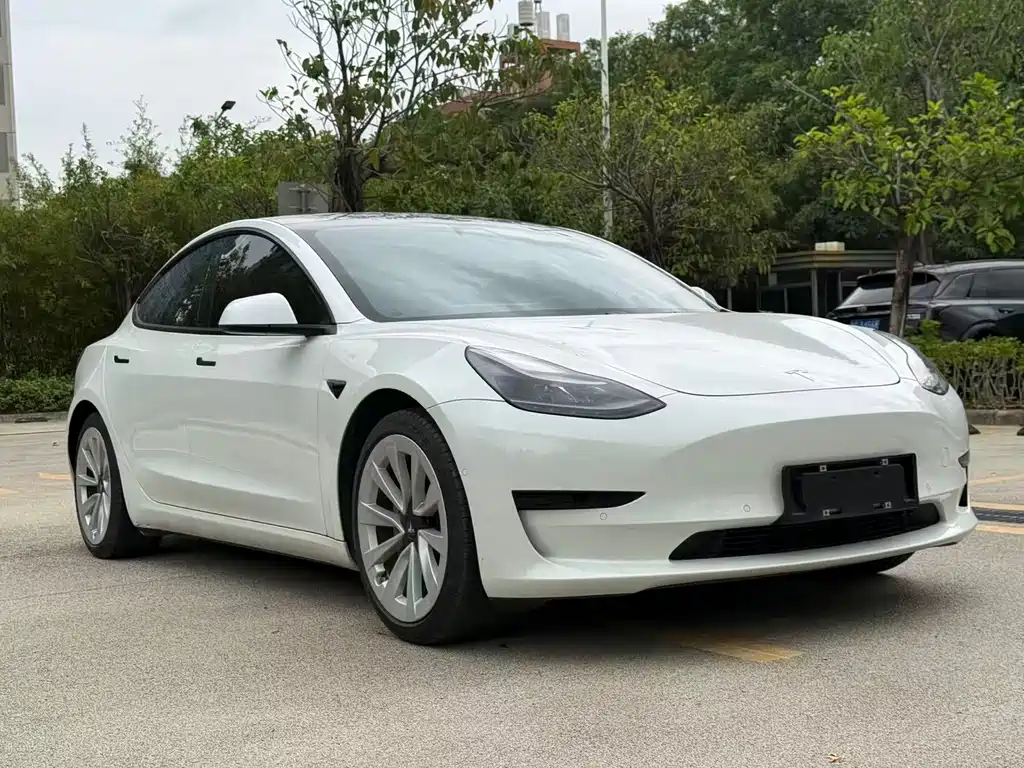Tesla Model 3 2021 — фото 3