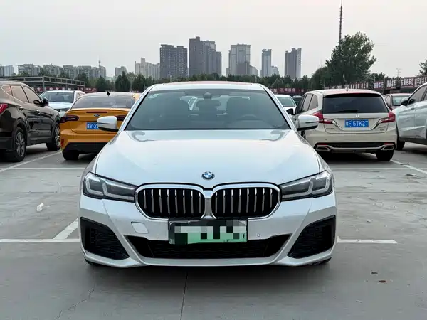 BMW 5 Series New Energy 2021