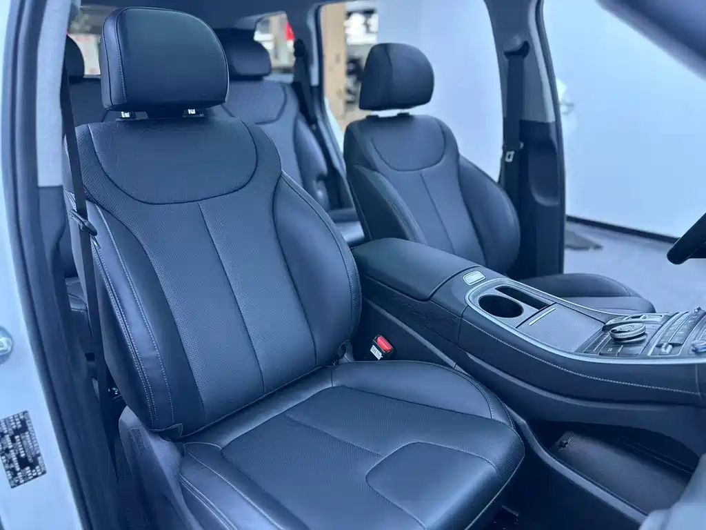 Hyundai Santa Fe 2023 — фото 21