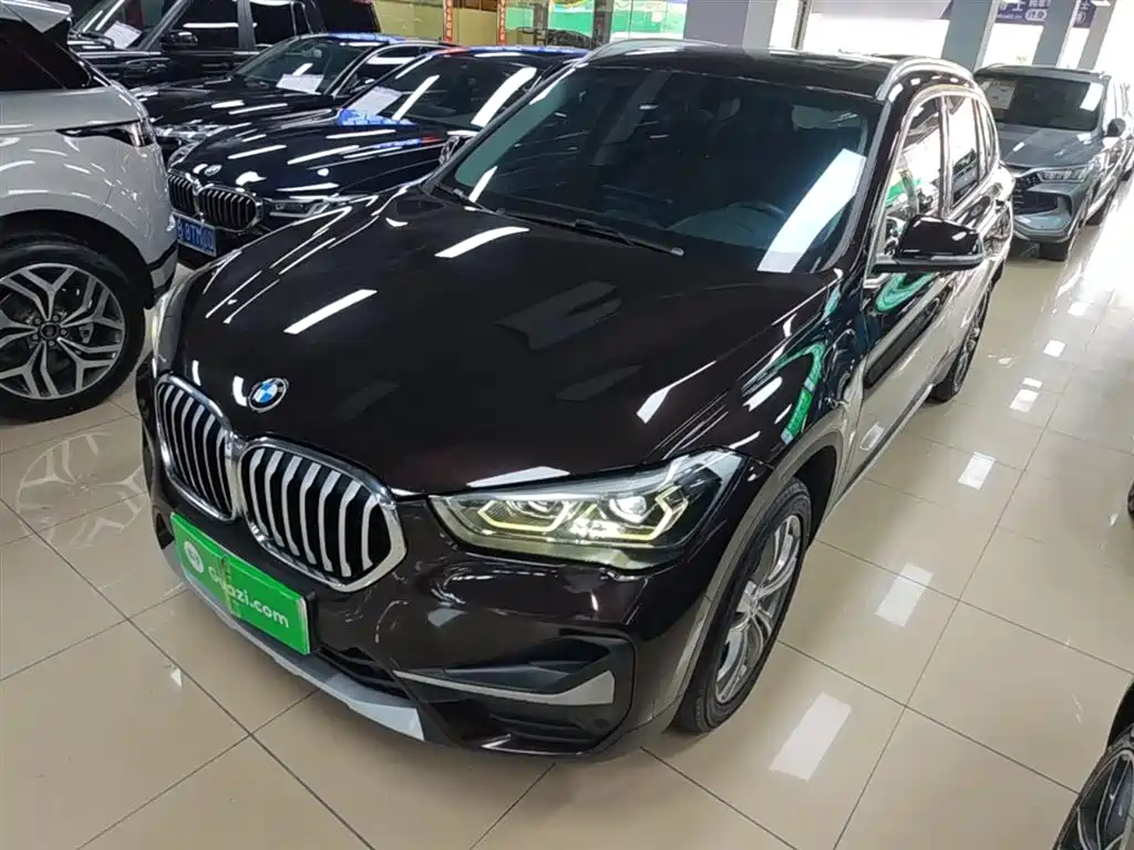 BMW X1 New Energy 2020