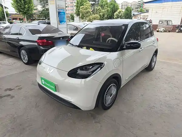Wuling Bingo 2024