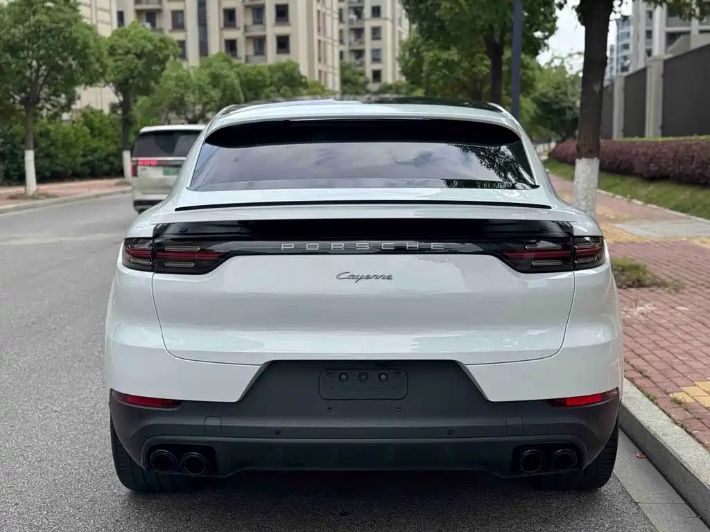Porsche Cayenne 2022 — фото 12
