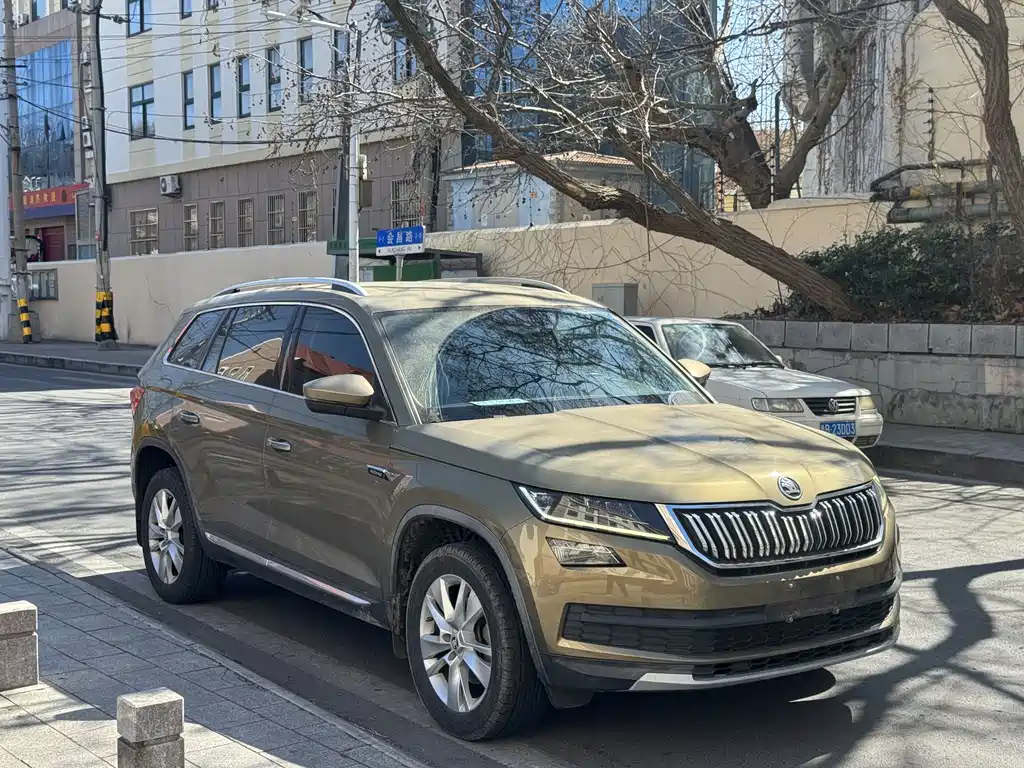 Skoda Kodiaq 2019 — фото 3