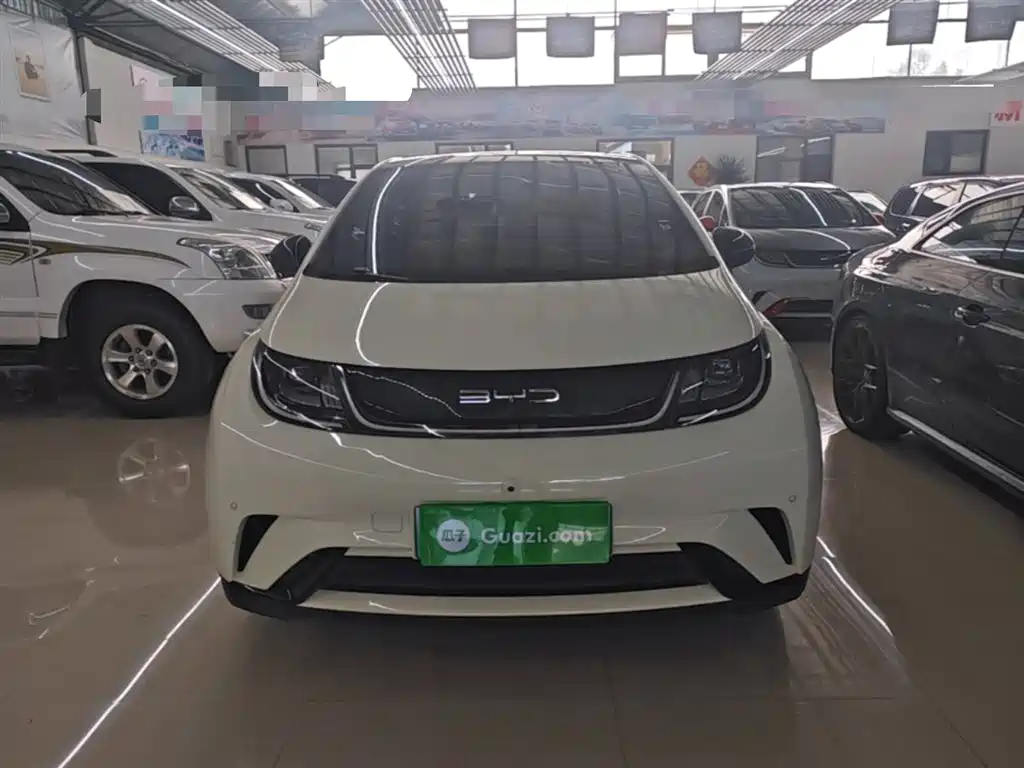 BYD Dolphin 2023 — фото 3