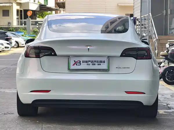Tesla Model 3 2019