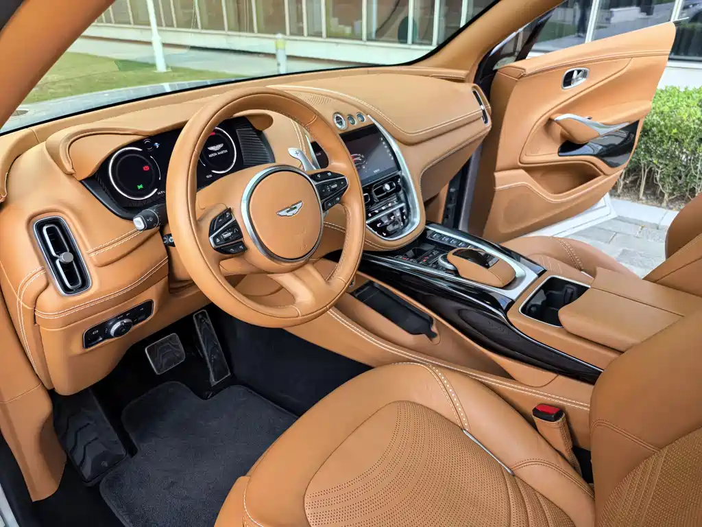 Aston Martin DBX 2022 — фото 12