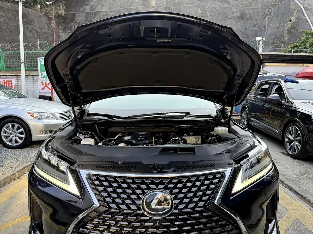 Lexus RX 2022 — фото 19