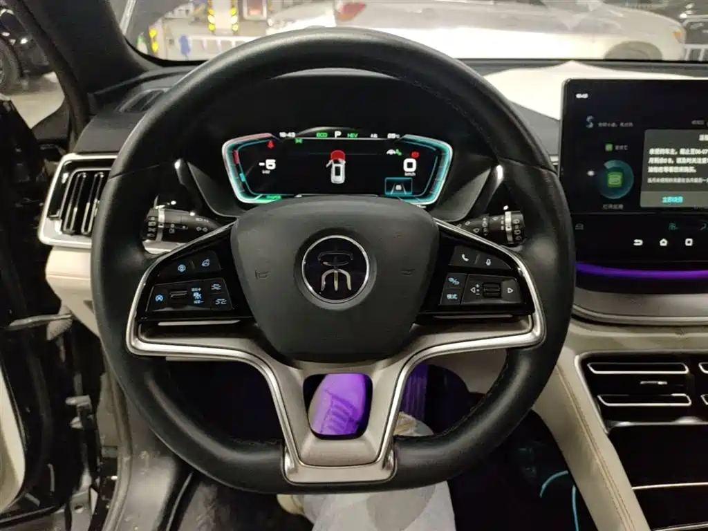 BYD PLUS New Energy 2022 — фото 11