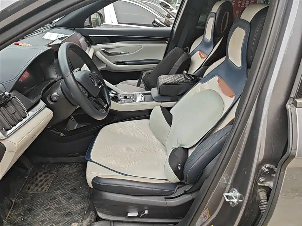 BYD PLUS New Energy 2022 — фото 15