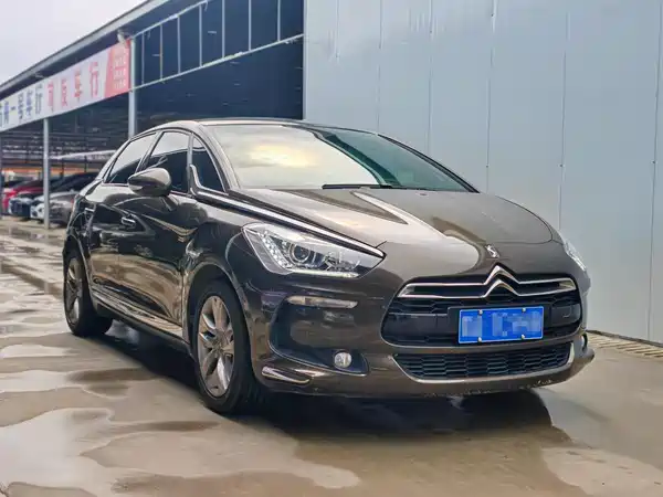 DS 5 2013