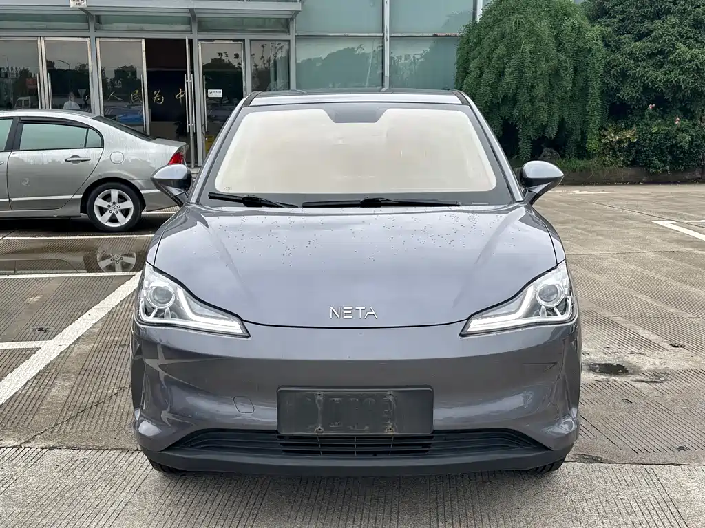 Neta V 2021