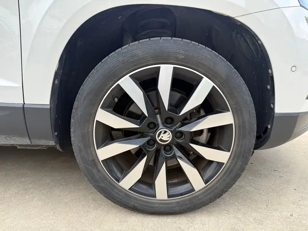 Skoda Karoq 2020 — фото 22